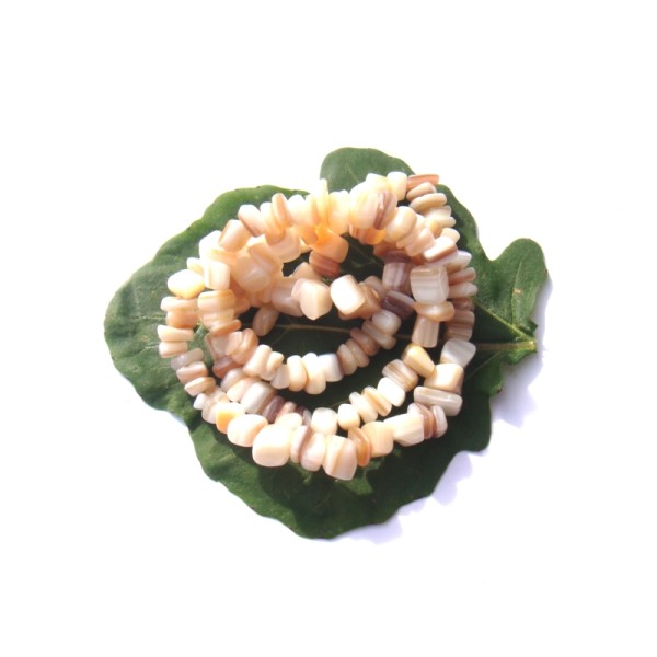 Coquillage multicolore : lot de 50 perles chips 4/6 MM de diamètre environ - Photo n°1