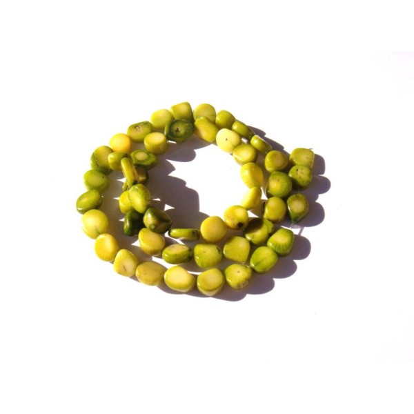 Corail teinté jaune vert 10 perles très irrégulières 6/8 MM de longueur - Photo n°1