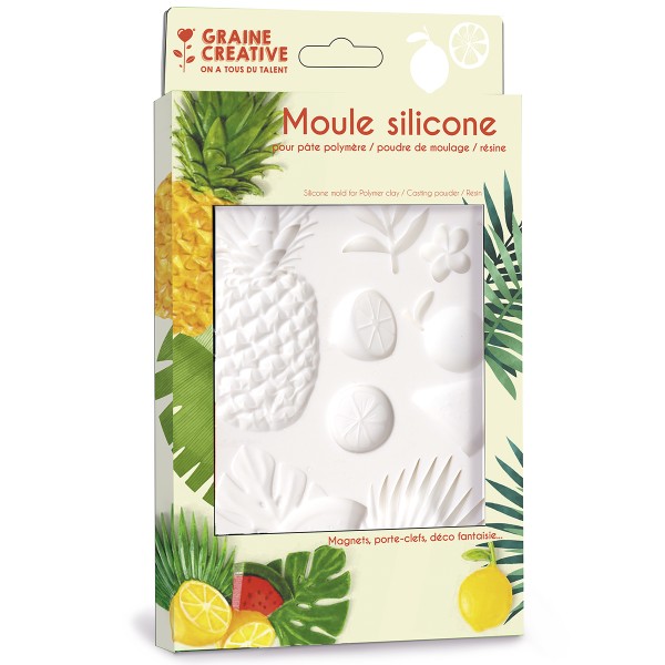Moule silicone - Agrumes - 20 x 13 cm - Photo n°1