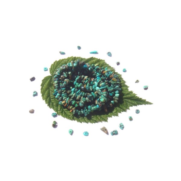 Turquoise Hubéi multicolore : 50 perles chips 9/13 MM de diamètre - Photo n°1