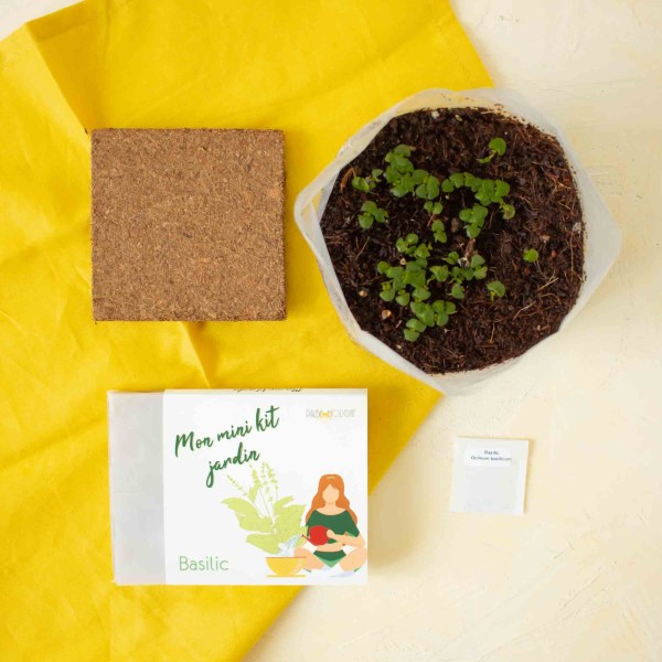 Kit DIY - Mini jardin basilic - Photo n°3