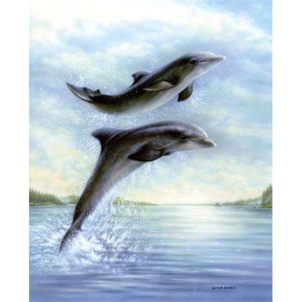 Image 3D Animaux - Duo de dauphins 24 x 30 cm - Photo n°1