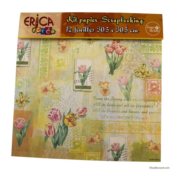 Kit Papier 30x30cm Scrapbooking 12 Feuilles - Erica - Photo n°1