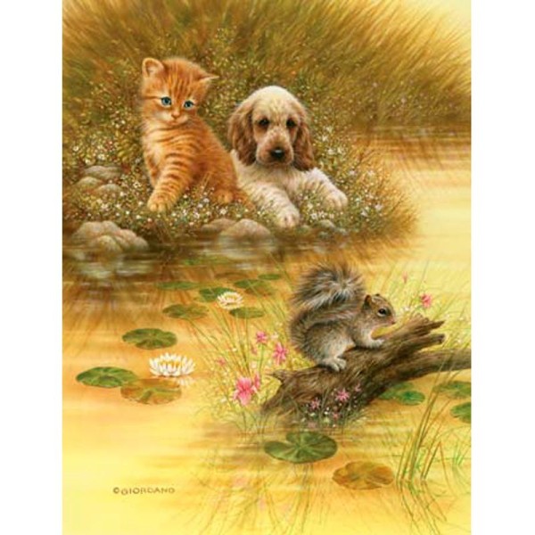 Image 3D Animaux - Chat, chien et écureuil 24 x 30 cm - Photo n°1