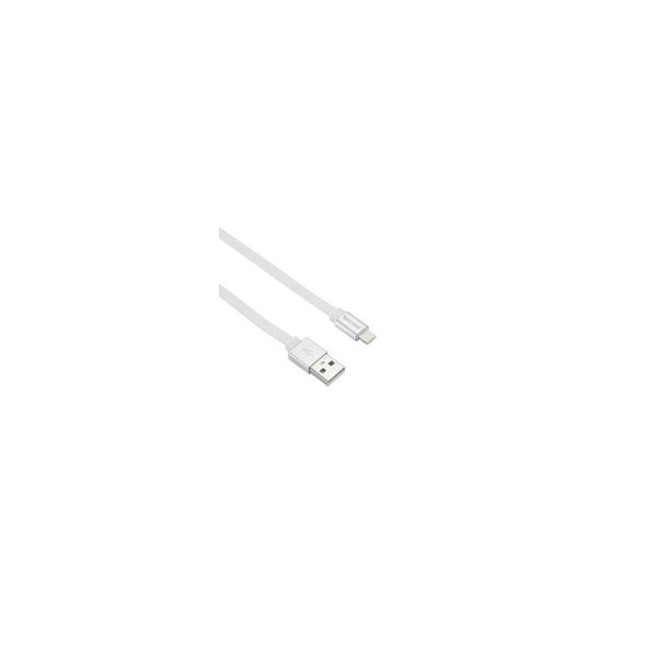 Câble pour iPhone 5 6 7 8 X XS XR 11 12 2 mètres blanc Tekmee - Photo n°3
