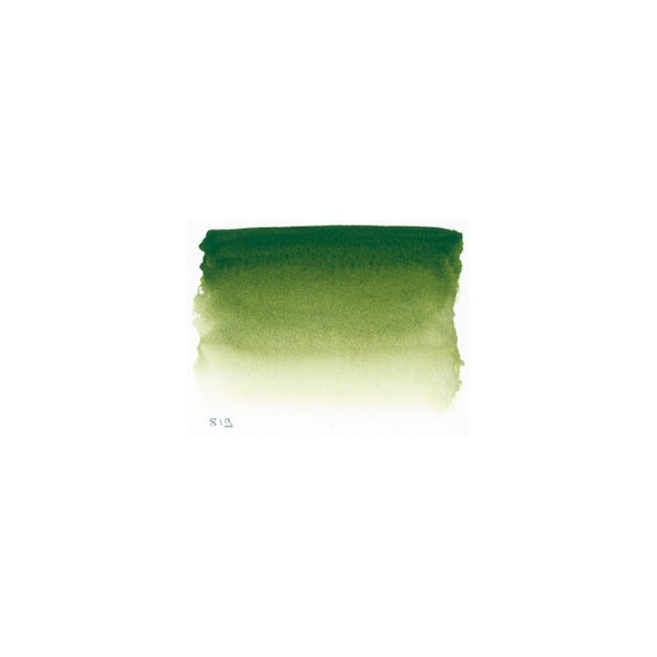 Aquarelle Extra-Fine 1/2 Godet Vert de Vessie Sennelier - Photo n°2