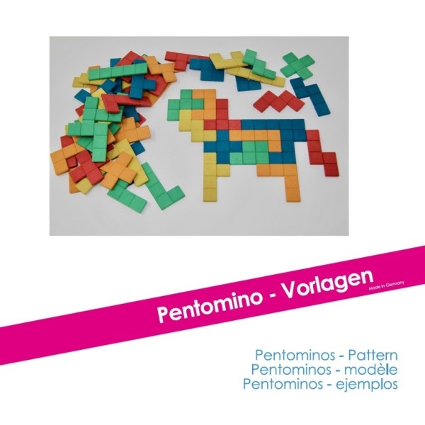 Pentominos 20 fiches modèles - Photo n°3