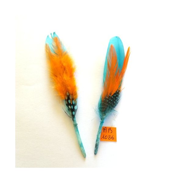 2 Plumes - orange bleu et noir - 13cm de long – AB1086 - Photo n°1