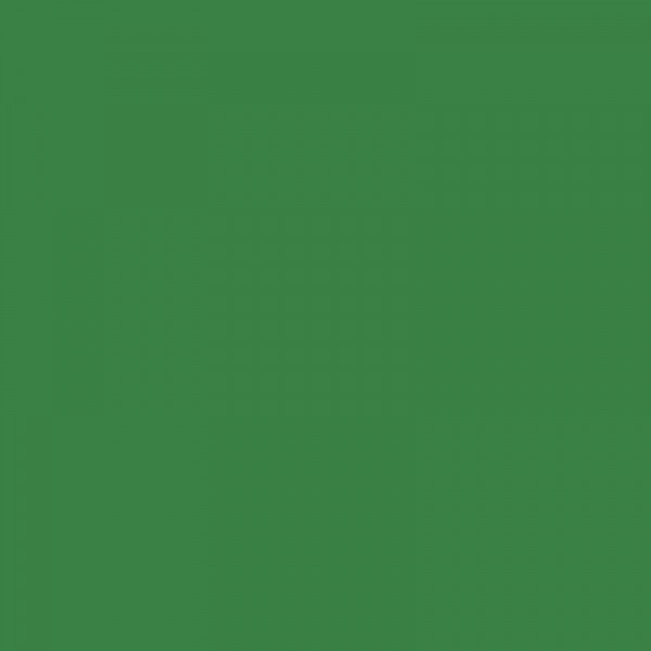 Carton de couleur vert foncé A4 170 g 50 feuilles - Apli - Photo n°2