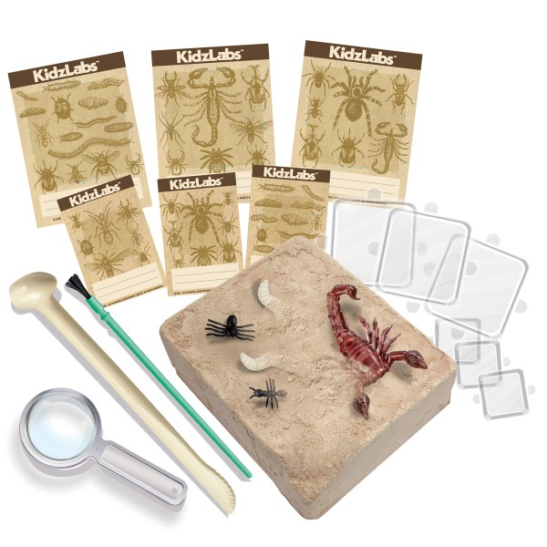 Kit scientifique Kids Labz - Excavation d'insectes - Photo n°2