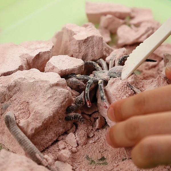 Kit scientifique Kids Labz - Excavation d'insectes - Photo n°3