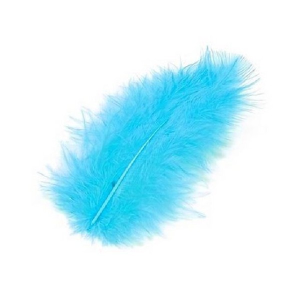 Plumes turquoise - Photo n°1