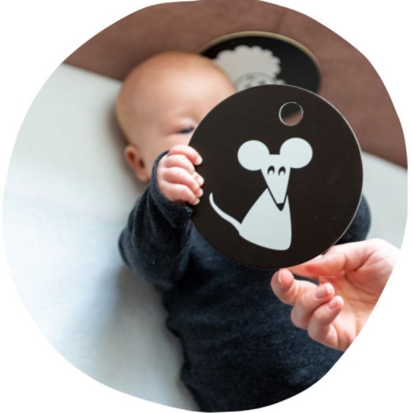 Cartes contrastées pour bébé de 3 mois - Photo n°2