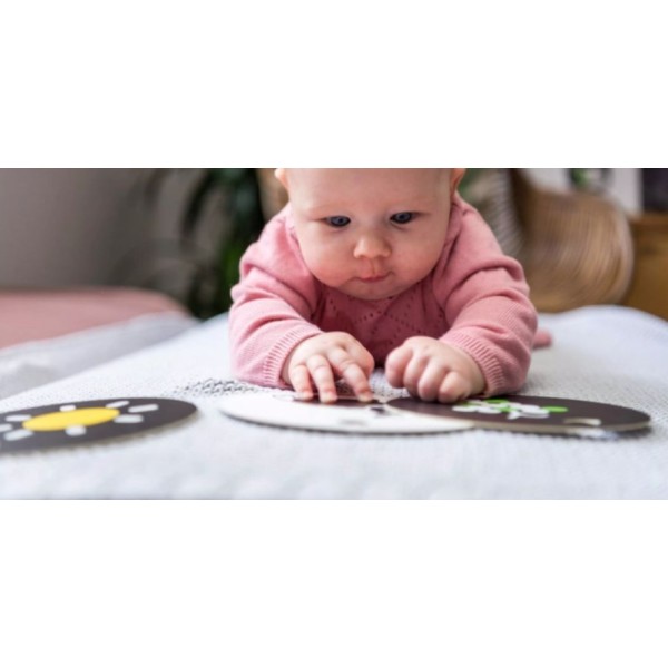 Cartes contrastées pour bébé de 3 mois - Photo n°4