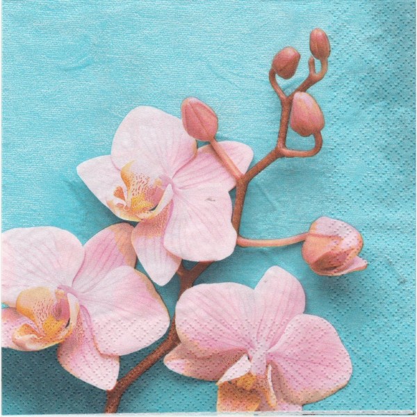 4 Serviettes en papier Orchidées roses Format Lunch Decoupage Decopatch 211541 Home Fashion - Photo n°1