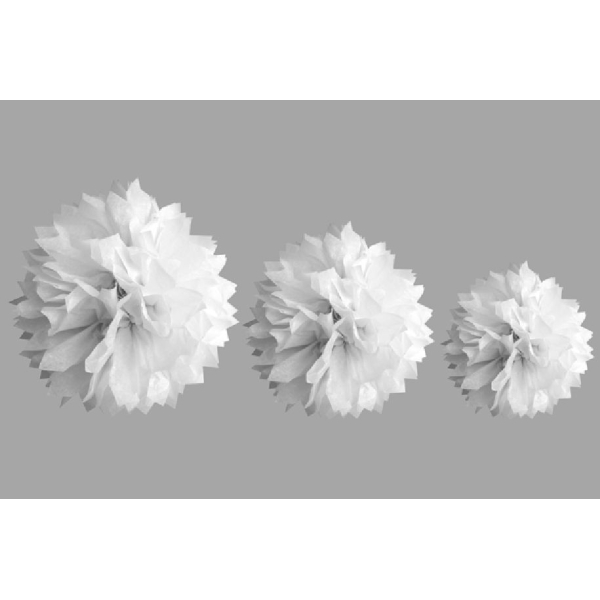 Pompon papier de soie, lot de 3 (20,30 et40cm) Blanc - Photo n°1