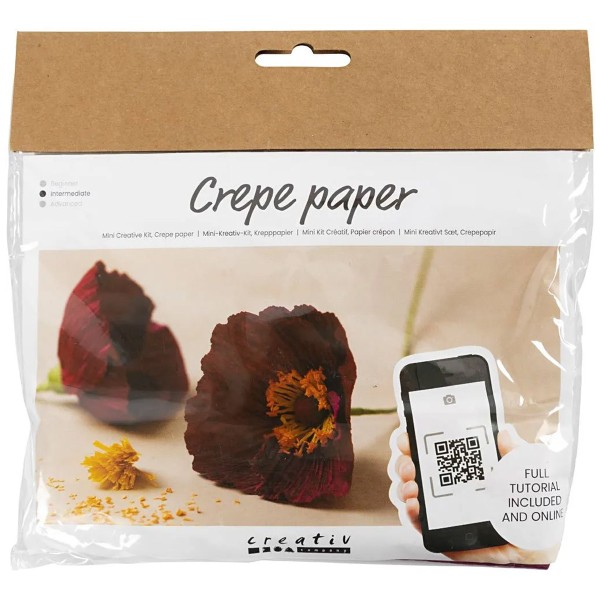 Mini kit DIY fleurs en papier crépon - Anémone - Photo n°1