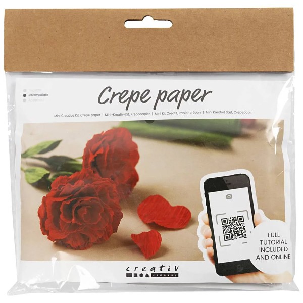 Mini kit DIY fleurs en papier crépon - Roses - Photo n°1