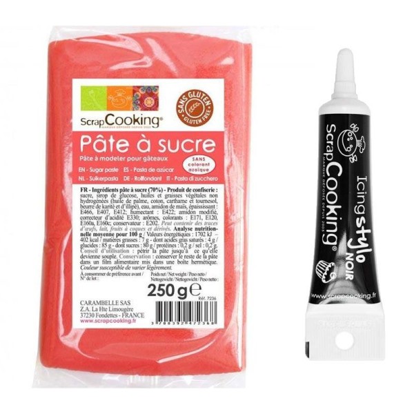 Pâte à sucre corail 250 g + Stylo de glaçage noir - Photo n°1