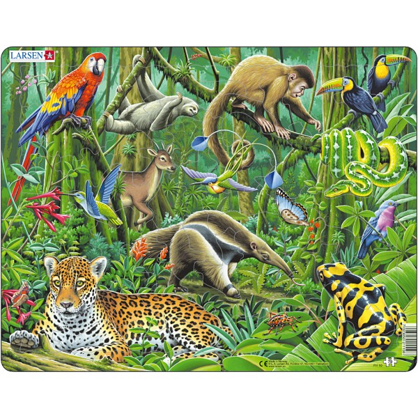 Puzzle Forêt tropicale sud-américaine 1 pc - Photo n°1