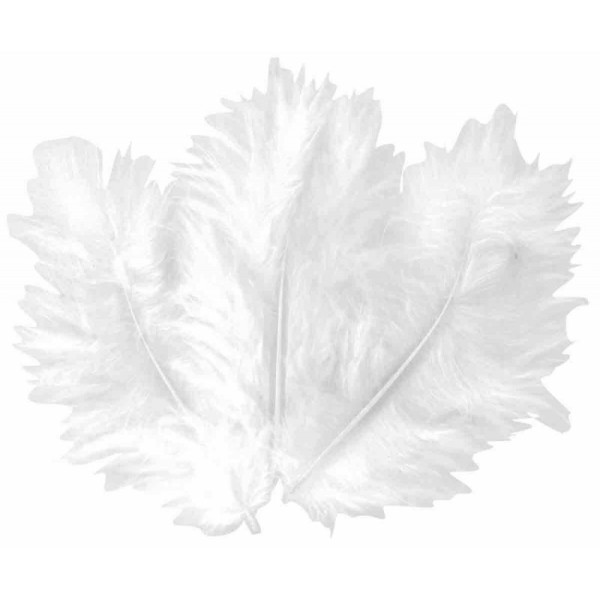 50 Plumes Blanches 10 Cm - Ctop - Photo n°1