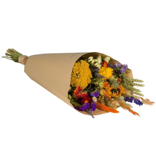 Bouquet de fleurs séchées - Orange - Grand modèle - 65 cm - Photo n°1