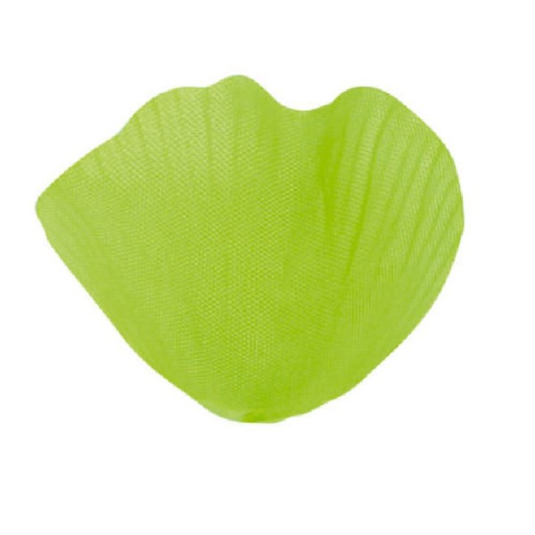 Sachet de 100 pétales-feuilles vert anis - Photo n°1