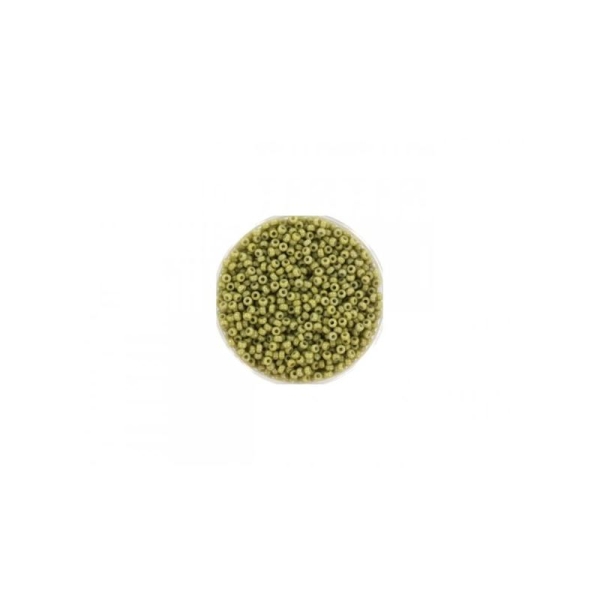 15 Grammes De Perles Miyuki Rocailles 11/0 Duracoat Opaque Cactus - Photo n°1