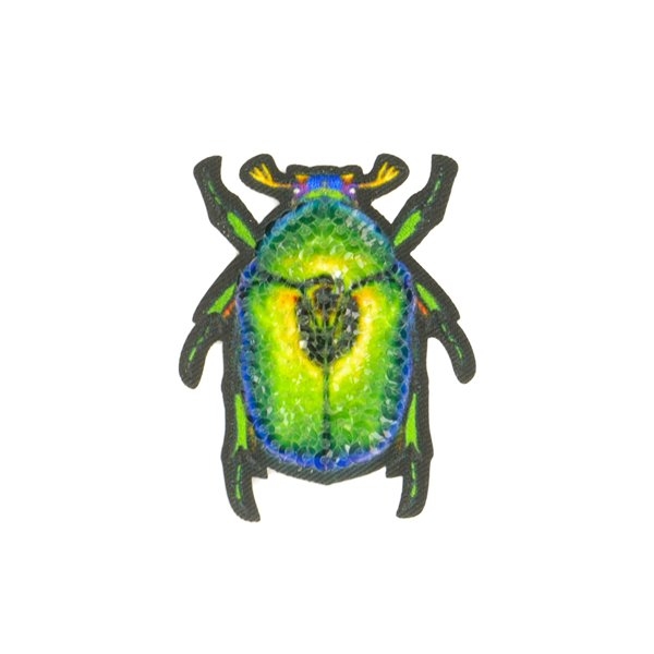 Lot de 3 écussons thermocollants insecte scarabée 5x4cm - Photo n°1