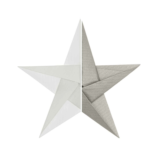 Papier origami - Blanc et Argenté - 15 x 15 cm - 32 feuilles - Photo n°1
