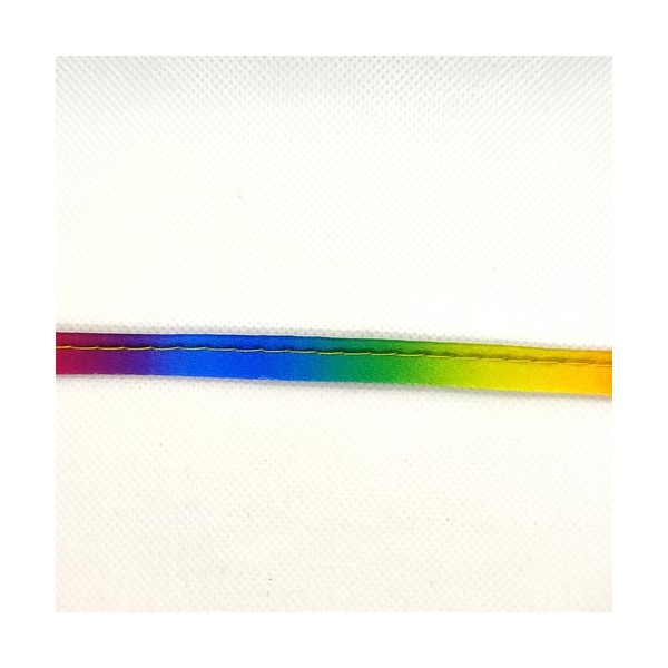 Passepoil satin multicolore - 10mm - vendu au mètre - P52 - Photo n°1