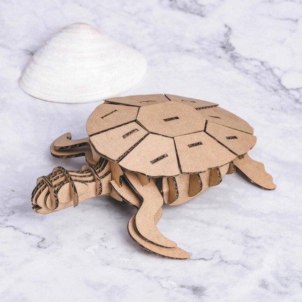 Maquette tortue 3D en carton à monter soi-même - Photo n°4