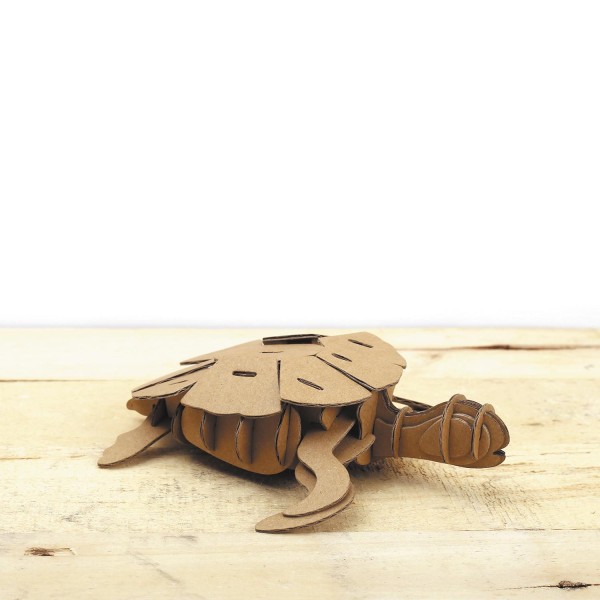 Maquette tortue 3D en carton à monter soi-même - Photo n°5