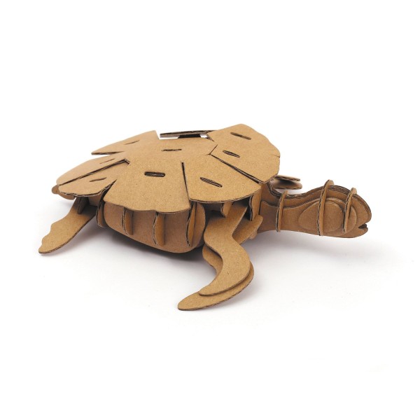 Maquette tortue 3D en carton à monter soi-même - Photo n°1