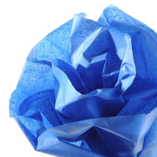 CANSON - Papier de soie - 0,5 x 5,0 m - 20 g/m² - Bleu - Photo n°1