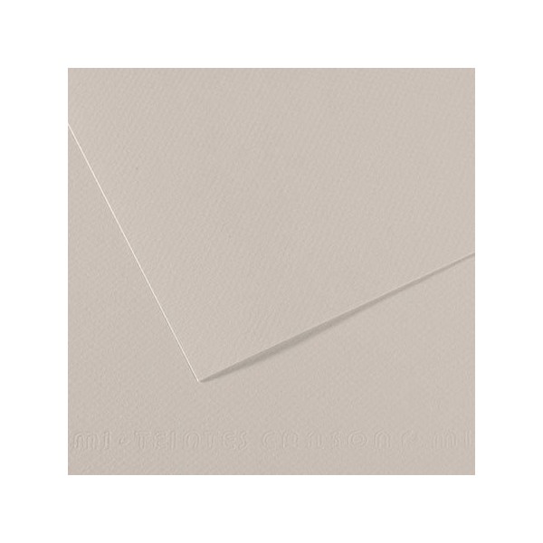 Papier dessin Mi-Teintes - 500 x 650 mm - Gris perle - Canson - Photo n°1