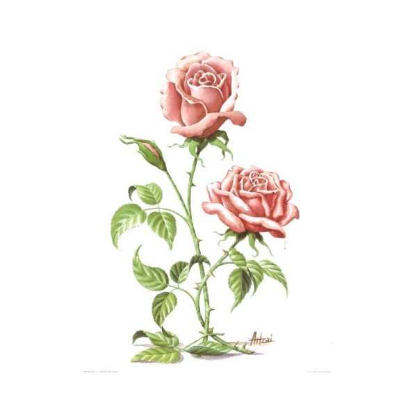 Image 3D - roses roses - 24x30 - f47 - Photo n°1