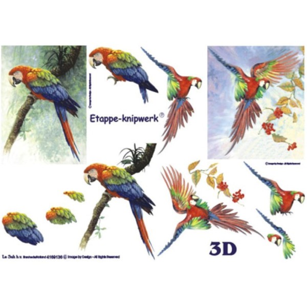Carte 3D à découper - 2 perroquets - 4169136 - Photo n°1