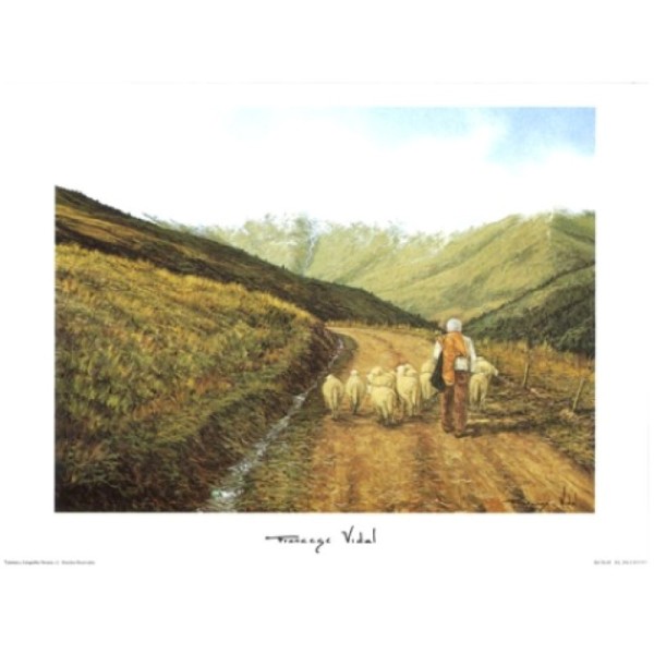 Image 3D - PA42 - 24x30 - Moutons et berger - Photo n°1