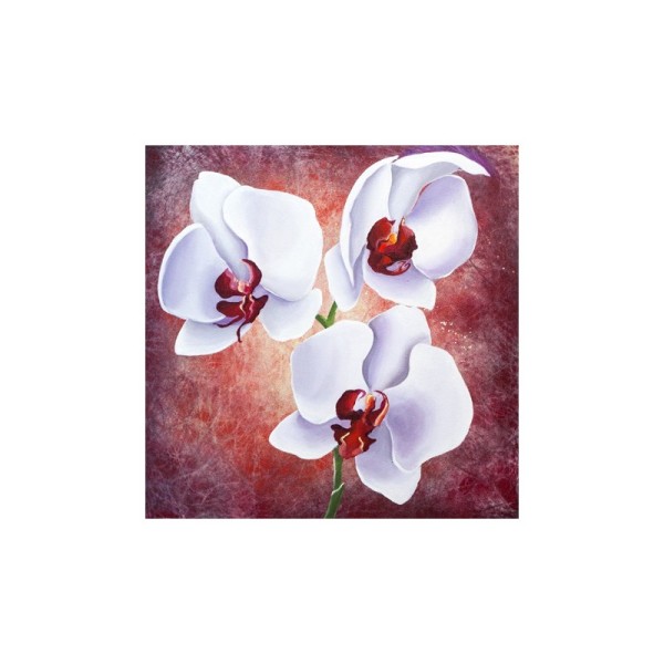 Image 3D - gk3030030 - 30x30 - orchidée blanche - Photo n°1