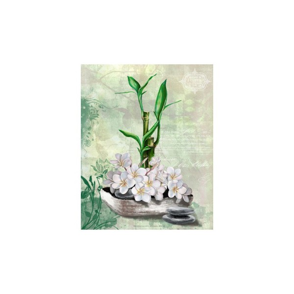 Image 3D - gk2430082 - 24x30 - bambou et fleur coco - Photo n°1