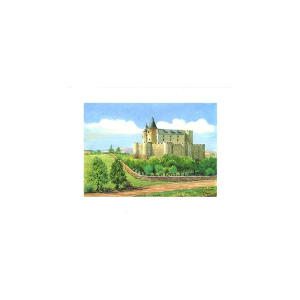 Image 3D - astro 536 - 24x30 - château avec remparts - Photo n°1