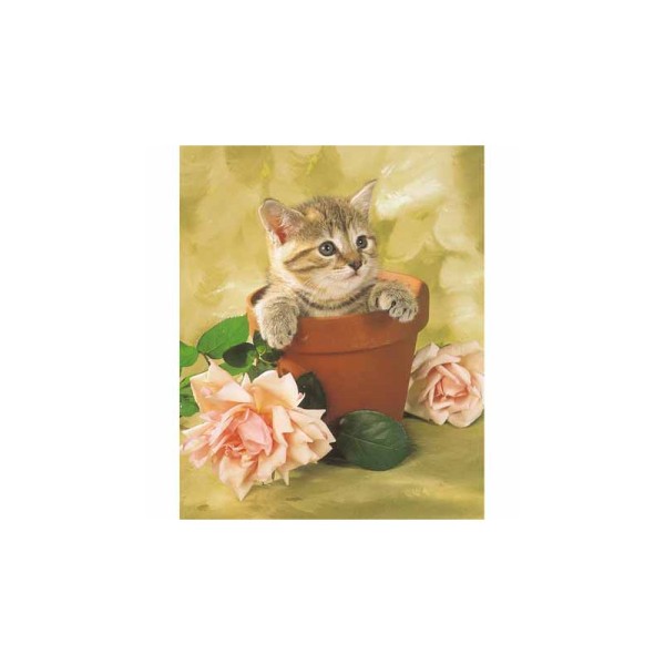 Image 3D - gk2430078 - 24x30 - chaton dans pot - Photo n°1