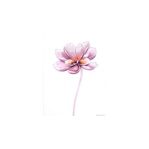 Image 3D - 3107026 - 24x30 - magnolia papier brillant - Photo n°1