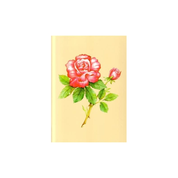 Image 3D - Astro 390 - 24x30 - Rose rose - Photo n°1