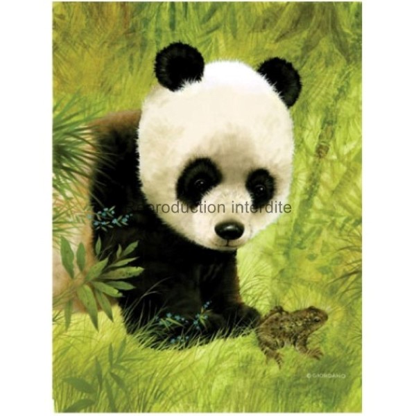 Image 3D - gk2430011 - 24x30 - panda - Photo n°1