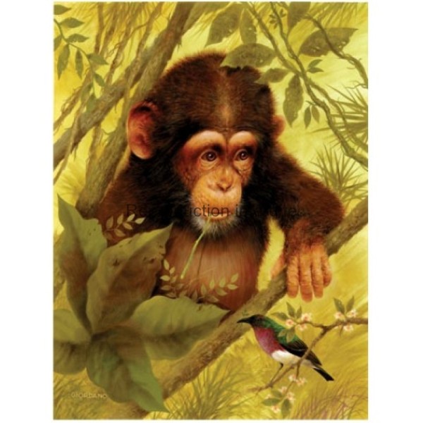Image 3D - gk2430014 - 24x30 - Chimpanzé - Photo n°1