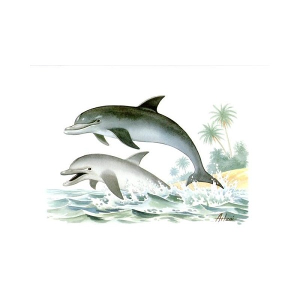 Image 3D - pa 55 - 24x30 - les dauphins - Photo n°1