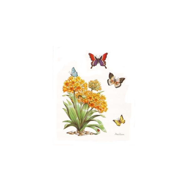 Image 3D - astro 443 - 24x30 - fleurs et papillons - Photo n°1