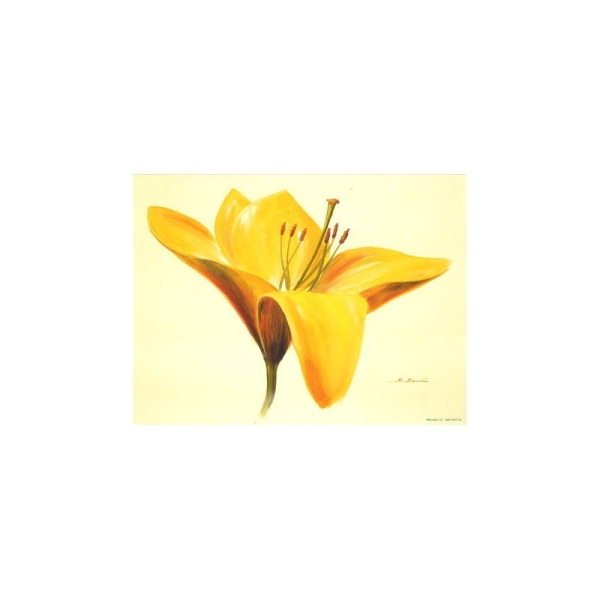 Image 3D - 9907161 - 24x30 - grosse fleur jaune - Photo n°1